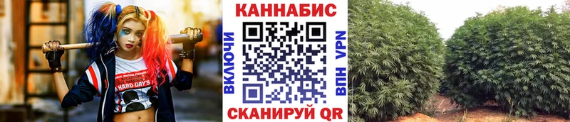 Бошки марихуана SATIVA & INDICA  Купить закладки  Чадан 